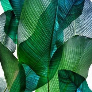 Welcome to my closet...💕